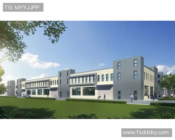 以体球为核心，探索现代体育文化的传承与创新发展之路